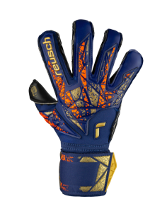 Reusch attrakt gold x evo 2