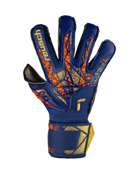 Reusch attrakt gold x evo