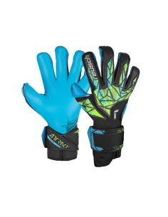 Reusch attrack evolution
