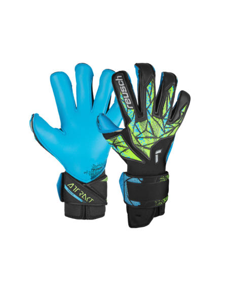 Reusch attrack evolution