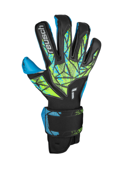 Reusch attrack evolution