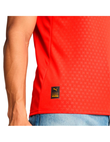 Puma camiseta portugal 1ºequipacion