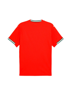 Puma camiseta portugal 1ºequipacion y 2