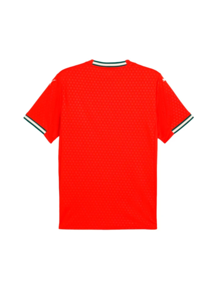 Puma camiseta portugal 1ºequipacion y