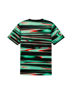 Puma portugal sudadera prematch 2