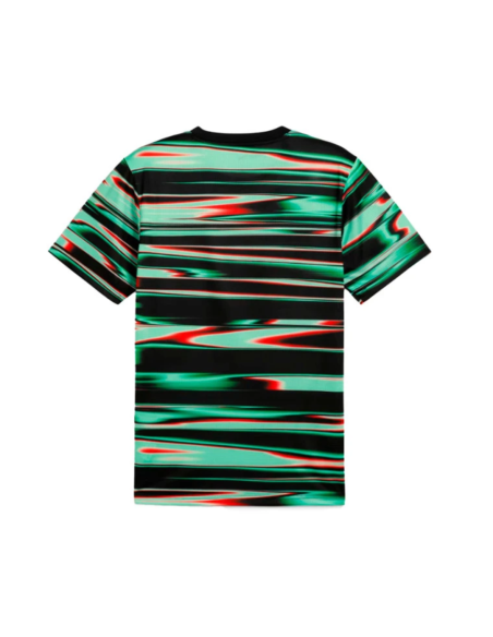 Puma portugal sudadera prematch