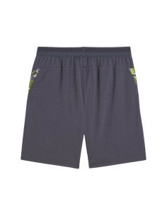 Puma short individualcup gris 2