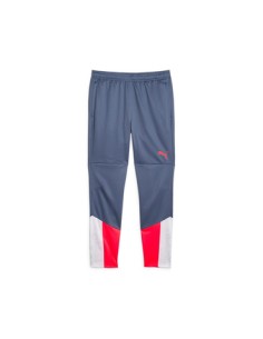 Puma individualcup traini