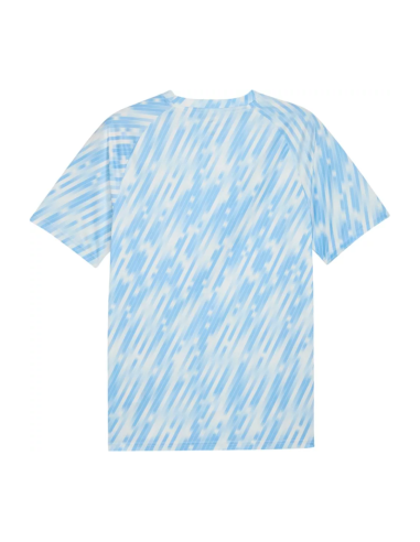 Puma camisa warm up city