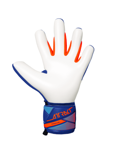 Reusch Attrakt Freegel Advance
