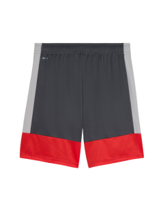 Puma Short Individual 2