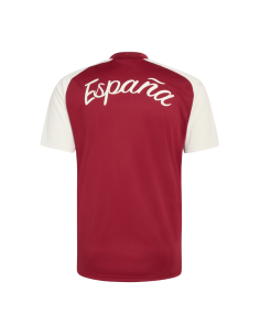 Adidas Camiseta Pre Match España 2