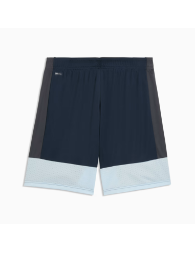 Puma Short Individual Liga